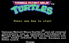 Teenage Mutant Ninja Turtles miniatura
