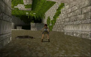 Tomb Raider captura de pantalla 3