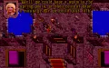 Ultima VII: The Black Gate vignette #22