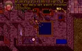 Ultima VII: The Black Gate thumbnail #24