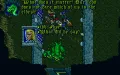Ultima VII: The Black Gate thumbnail #30
