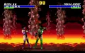 Ultimate Mortal Kombat 3 zmenšenina #3