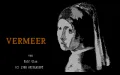 Vermeer vignette #1