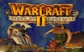 Warcraft II: Tides of Darkness Miniaturansicht 1
