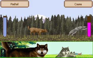 Wolf capture d'écran 4