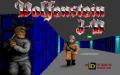 Wolfenstein 3D zmenšenina 1