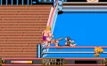 WWF WrestleMania Miniaturansicht #4