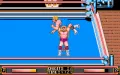 WWF WrestleMania Miniaturansicht #10